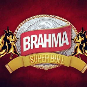 brahma super bull 3